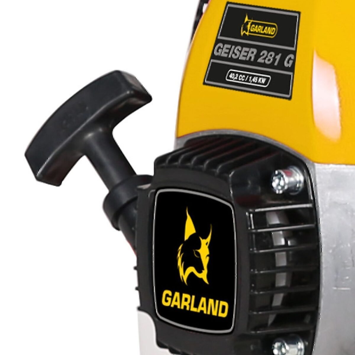Motobomba Garland Geiser 281G-V17+manguera gasolina - Imagen 5