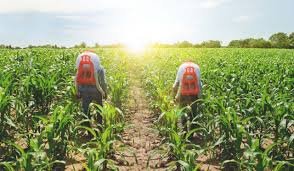 herramientas para agricultura